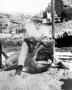 Local Hermanus fisherman, Bill Selkirk, caught the world’s biggest man-eating shark with a rod and reel in 1922