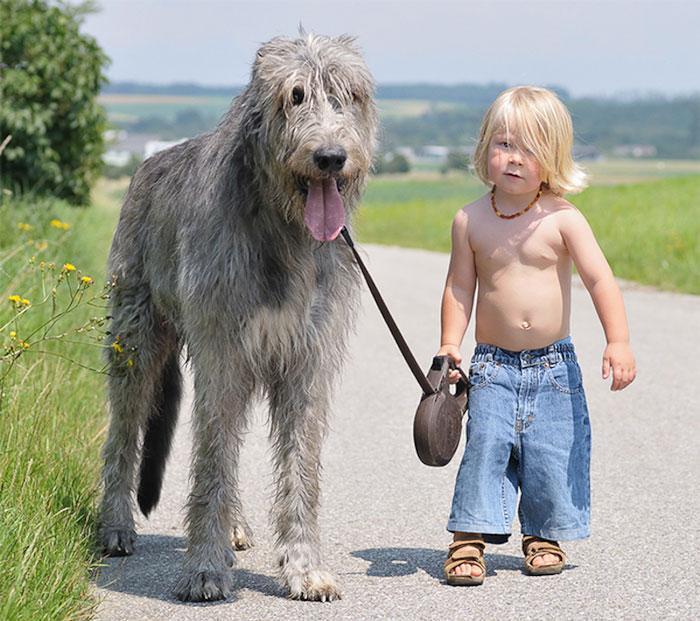 The Top 10 reasons why your child should own a pet