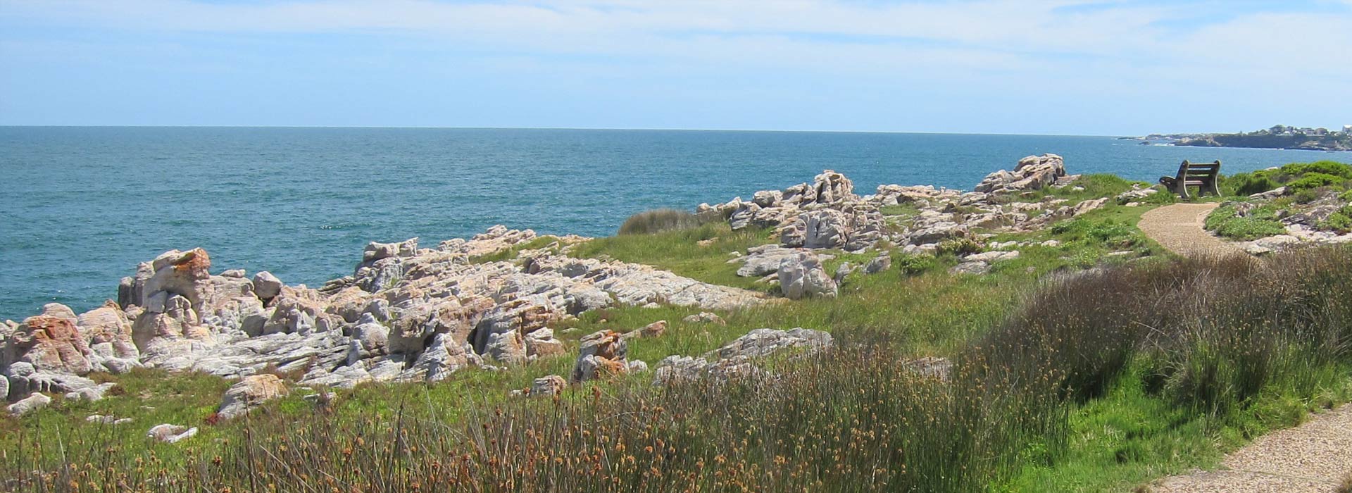 The famous Hermanus Cliff Path Walk