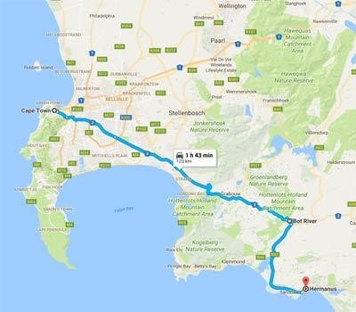 All roads lead to the Hermanus Whale Festival. [27 - 29 September 2019)