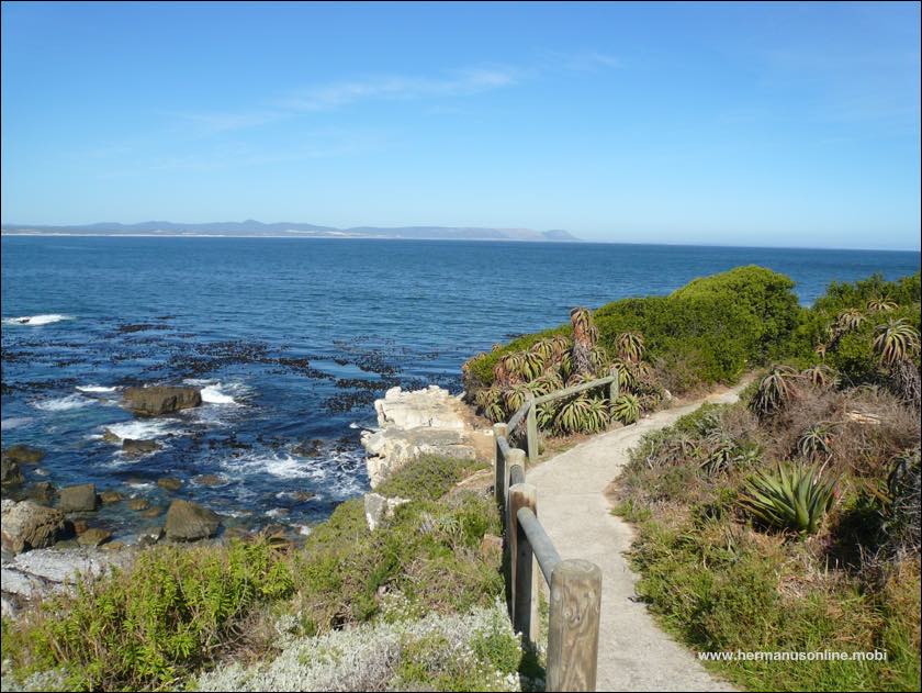 The famous Hermanus Cliff Path Walk