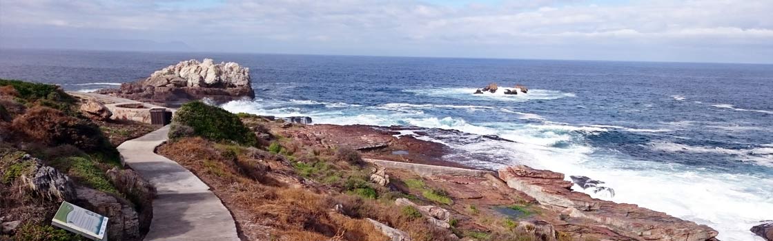 Hiking in and around Nature Reserves in Hermanus