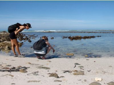 Nature Reserves -Enjoy Nature’s Playgrounds where the Wild is all about Fun