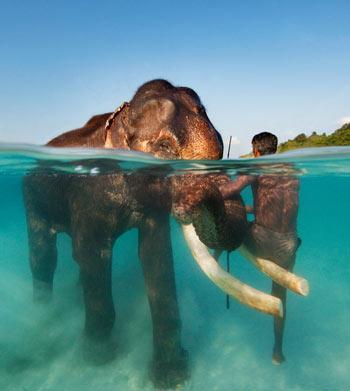 22 Epic Photos - Above & below on the border of two worlds.