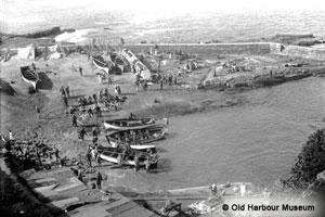 Old Harbour Museum, Hermanus