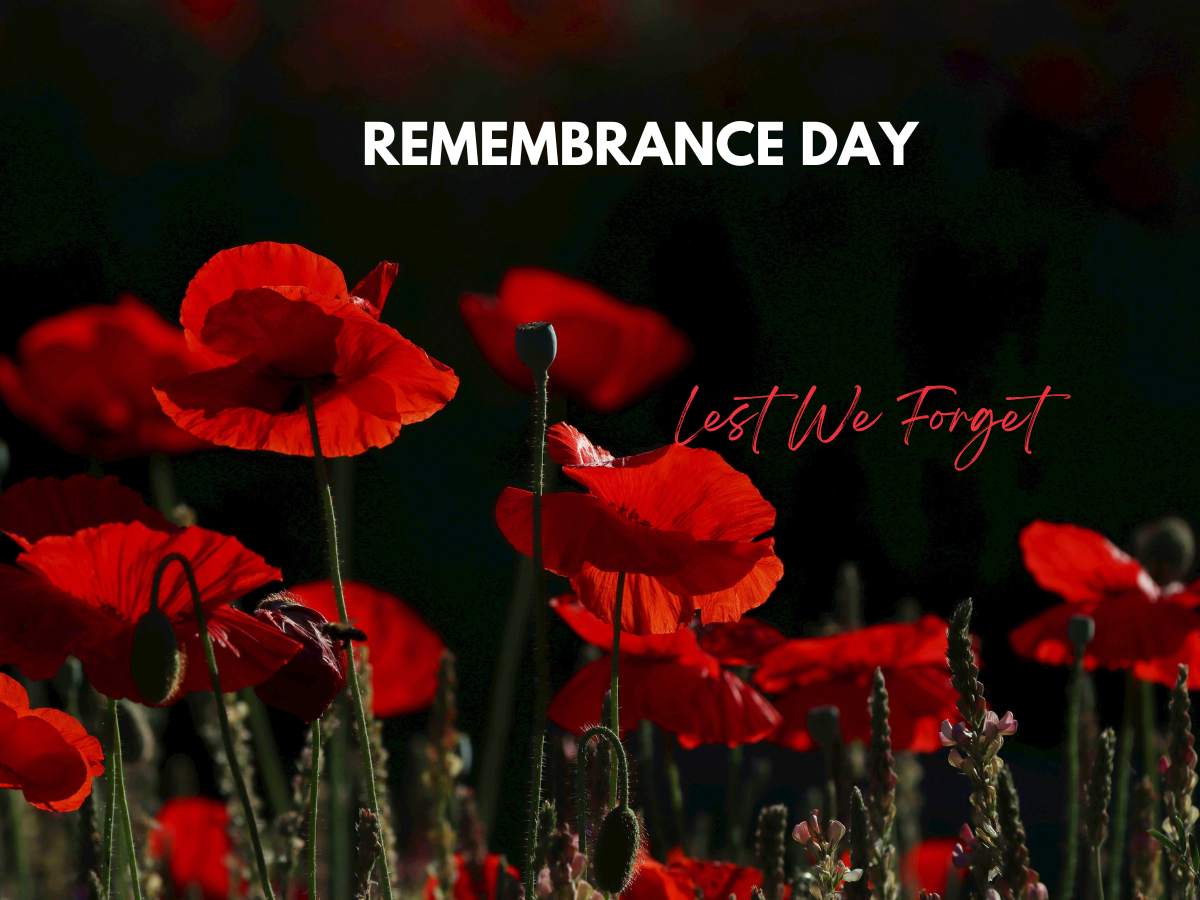 Remembrance Day: The Armistice was signed in November 1918, bringing an end to the First World War. 