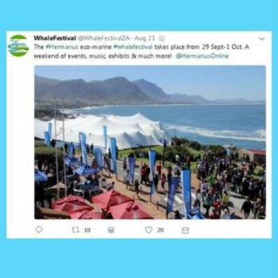 The brilliant online marketing strategy behind the bumper 2017 Hermanus Whale Festival