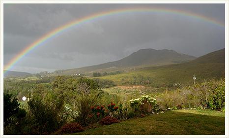 Volmoed Hike in the Hemel en Aarde Valley near Hermanus