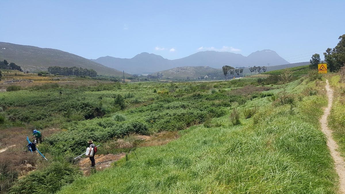 Overstrand Celebrates Unique Peatlands on World Wetlands day