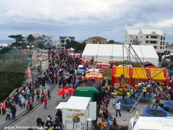 Hermanus gets ready for whale of a time