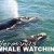 BOOK YOUR WHALE WATCHING & MARINE BIG 5 TRIP TODAY 