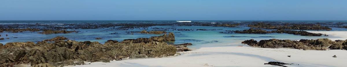 Cape Whale Coast Hope Spot